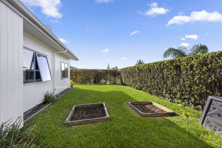 6 Puka Place Raglan_22