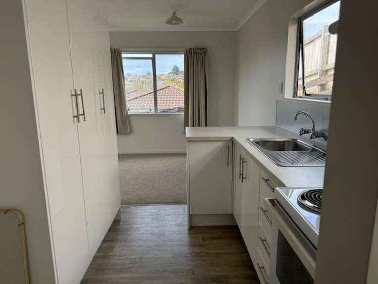 16B Anne Road Tauranga_2