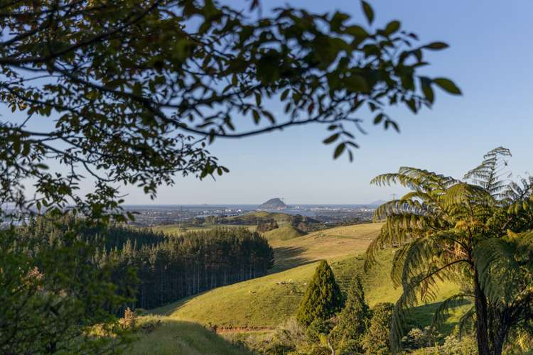 565c Upper Ohauiti Road Ohauiti_24