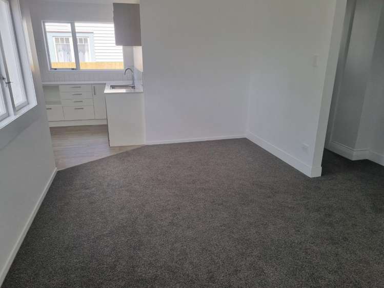 27 Blackburn Street Frankton_3