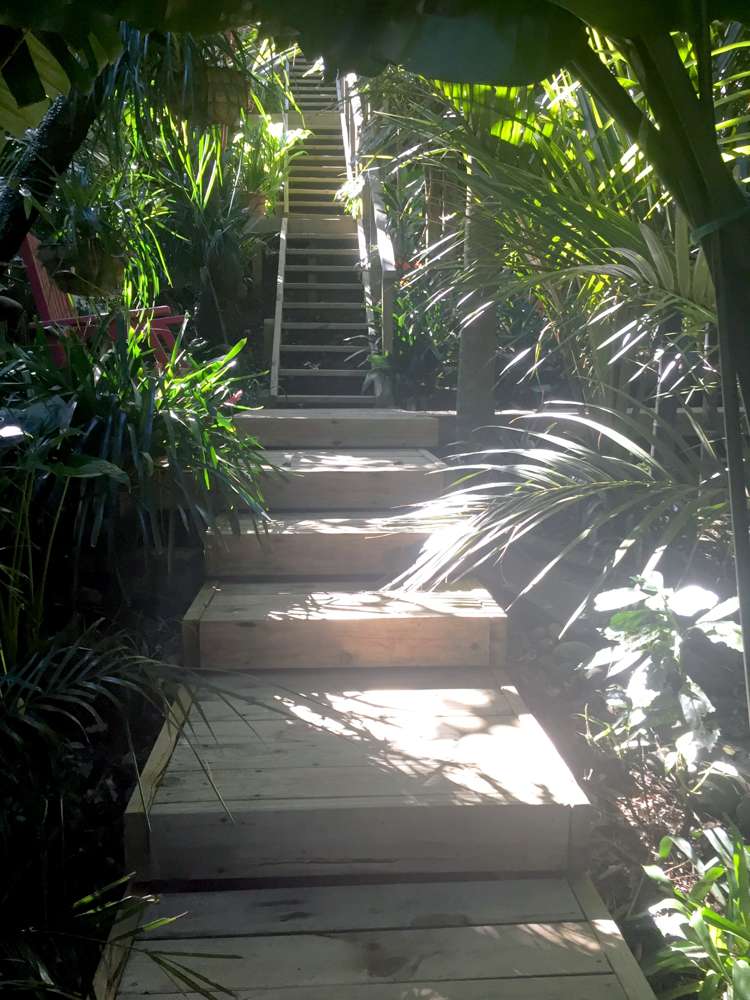 567 South Titirangi Road Titirangi_15