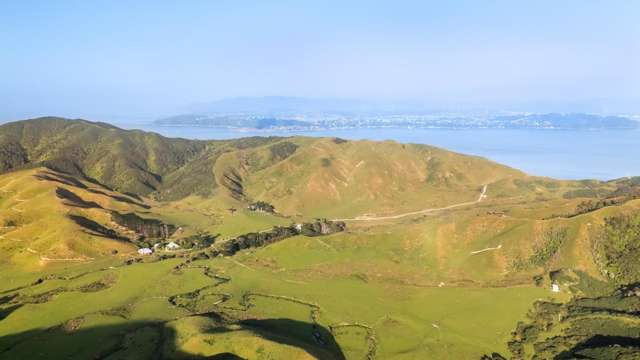 525 Muritai Road Pencarrow Head_2