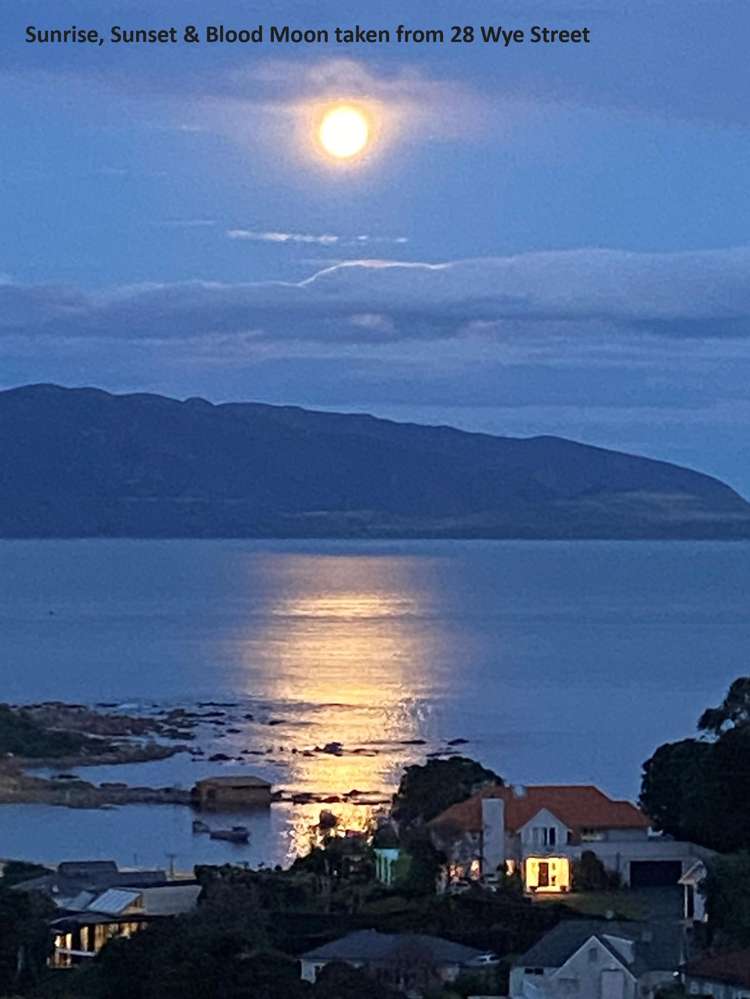 30 Wye Street Island Bay_27