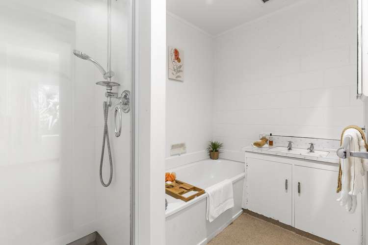 3b Virginia Grove Brooklyn_10