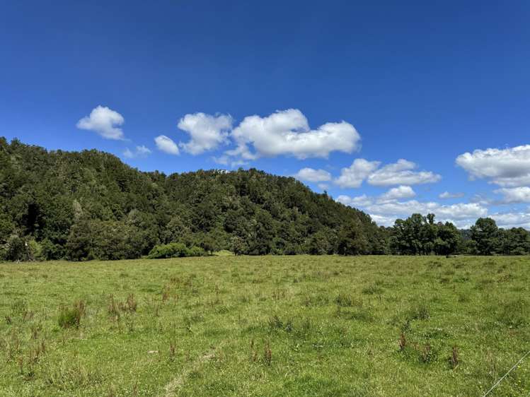 410 Maimai Road Reefton_30