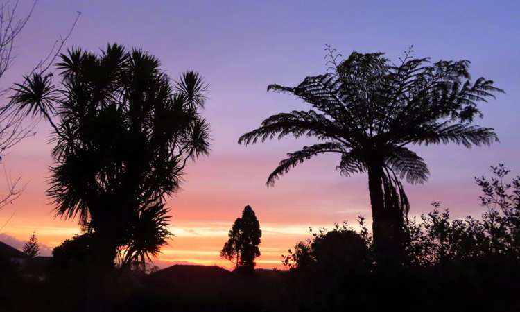 2/38 Stamford Park Road Mount Roskill_15