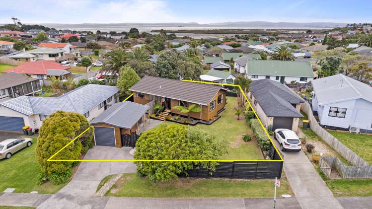 185 Finlayson Avenue Clendon Park_13