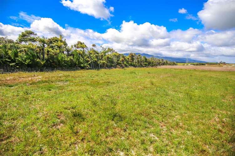 Alma Road Westport_5