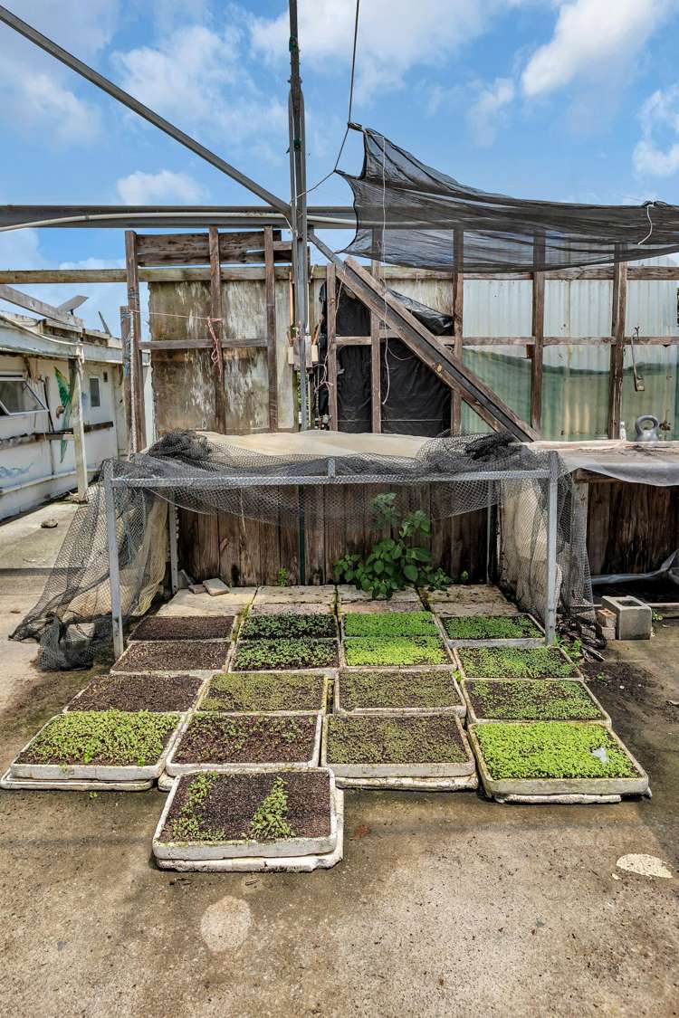 410A Whatitiri Road Poroti_15