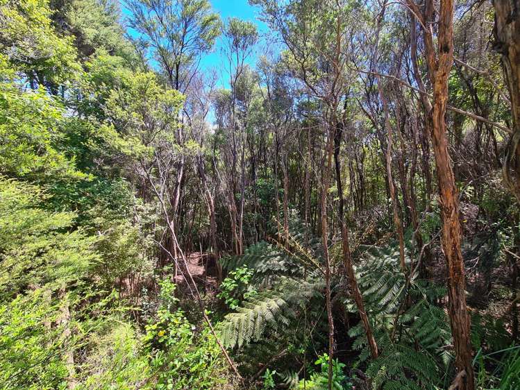 98 Kowhai Drive Coromandel_21