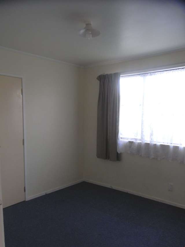 1/8 Penion Drive Flat Bush_4