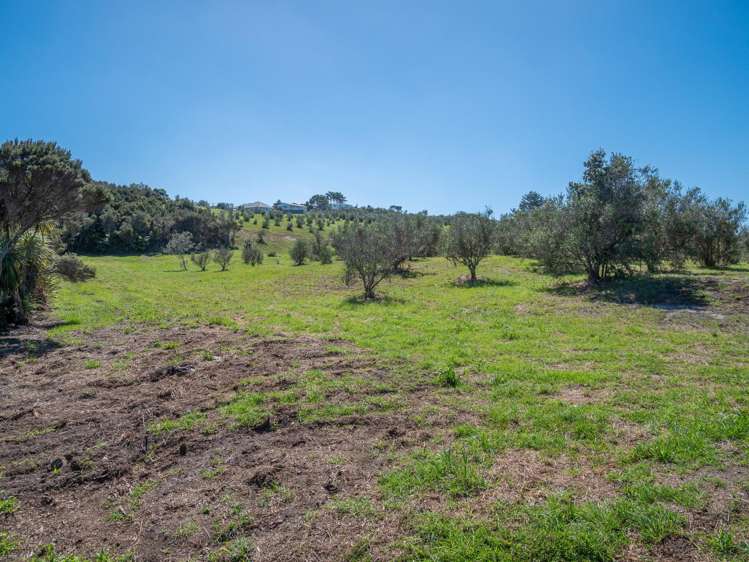 1426A Inland Road Karikari Peninsula_5