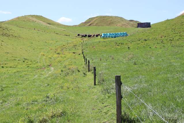 102 Manu Road Te Popo_1