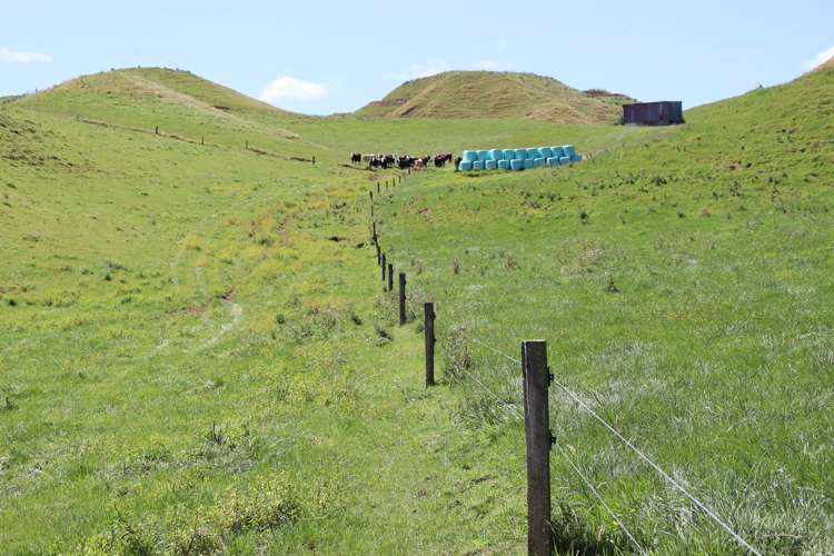 102 Manu Road Te Popo_1