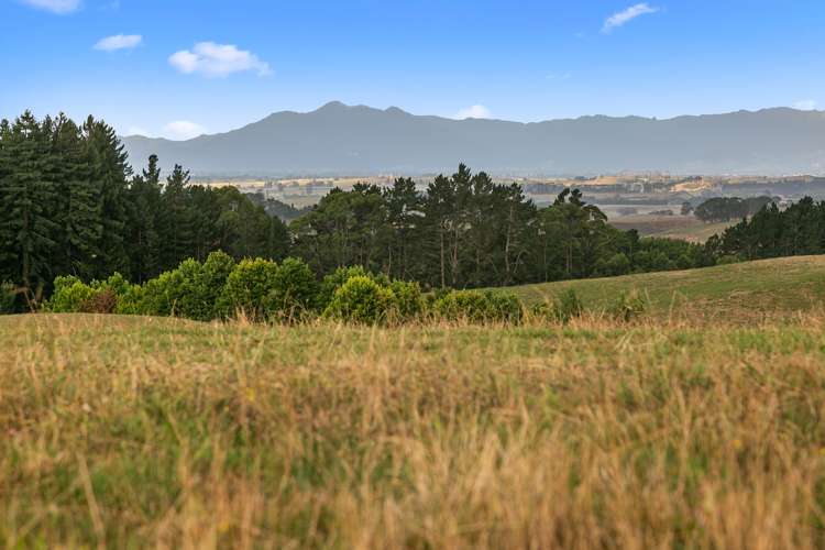 Waterworks Road Te Miro_11