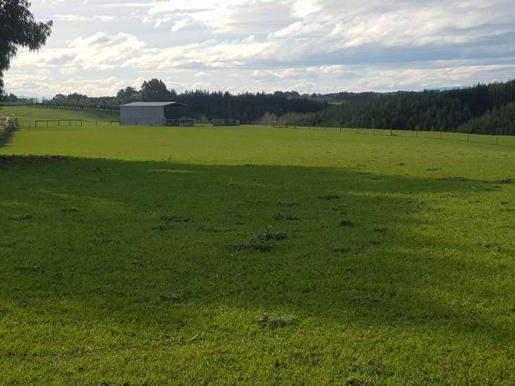 Hillend Road Balclutha_9