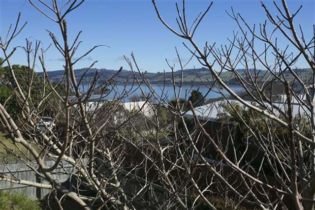 1/21 Kurupae Road Hilltop_1