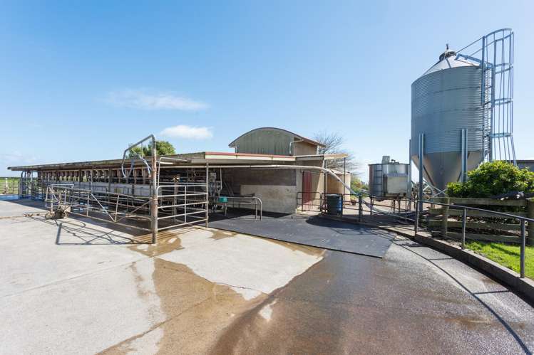 220 Waiomou Road, Okoroire Tirau_5