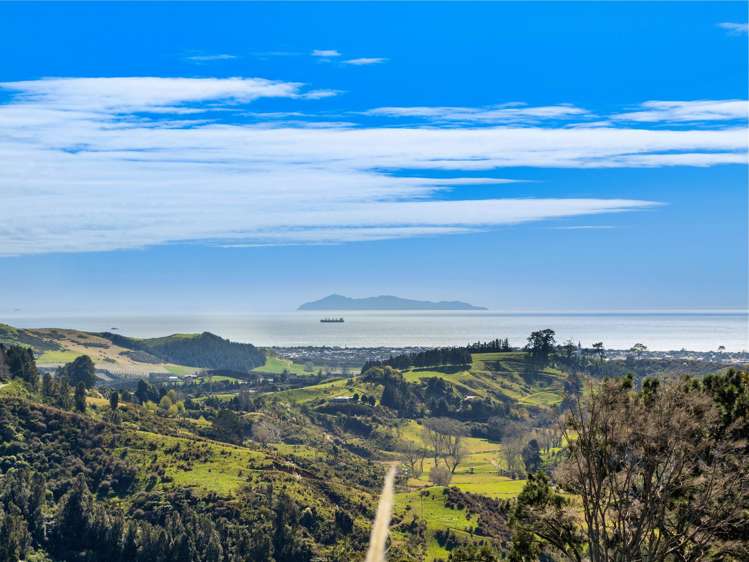 225 Rocky Cutting Road Papamoa_26