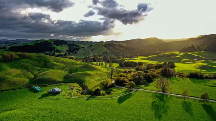 1550 Glenora Road Akitio_11