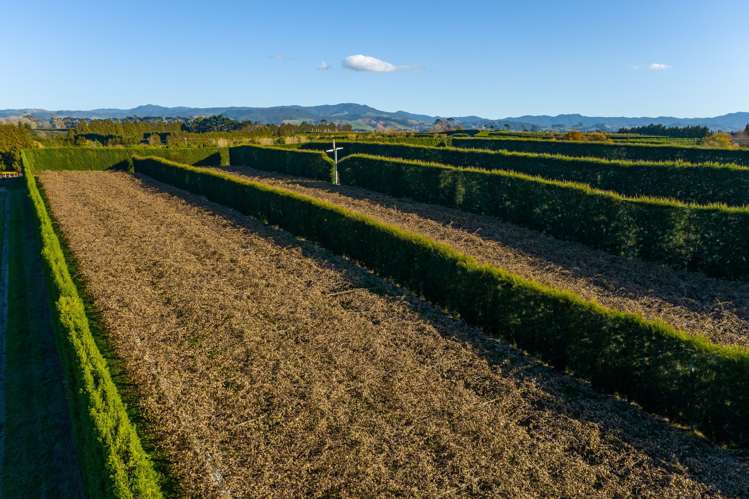 25b Fisher Road Waihi_5