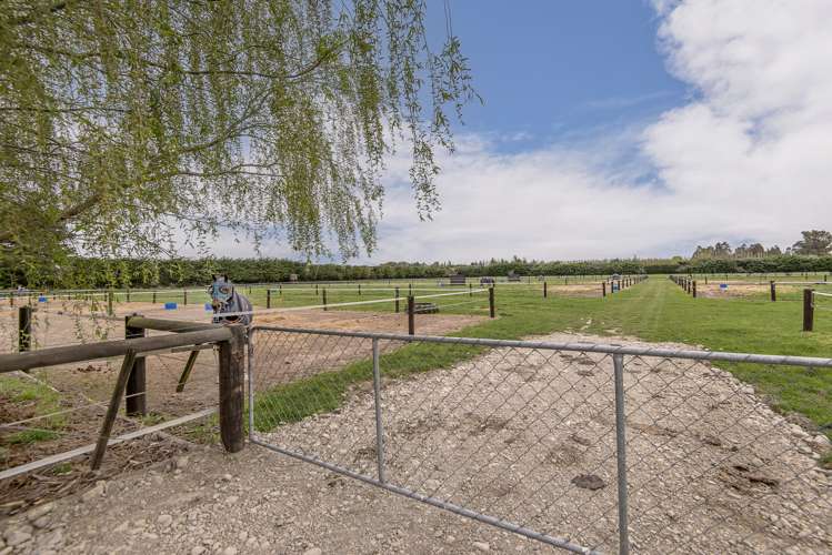 209 Leithfield Road Leithfield_25