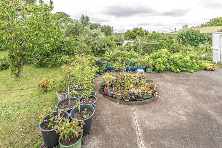 60 Purnell Street College Estate_15