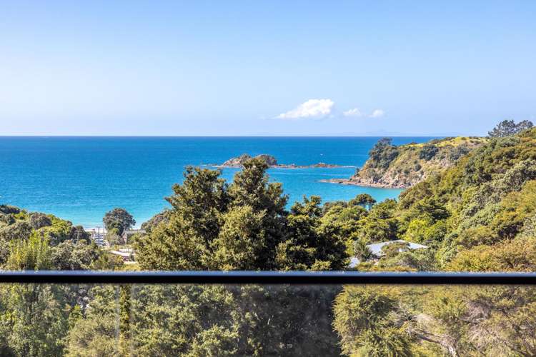 41E Tiri View Road Palm Beach_23