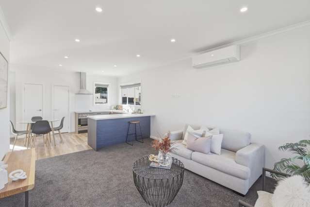 65B Alexandra Street Marton_2