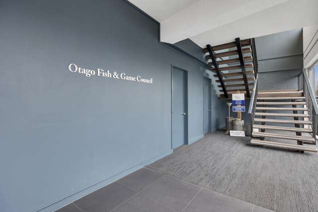 243 Hanover Street City Centre Dunedin_2
