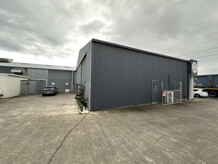 62 Austin Street Onekawa_7