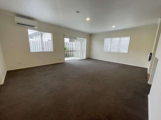 183b Massey Street Frankton_1