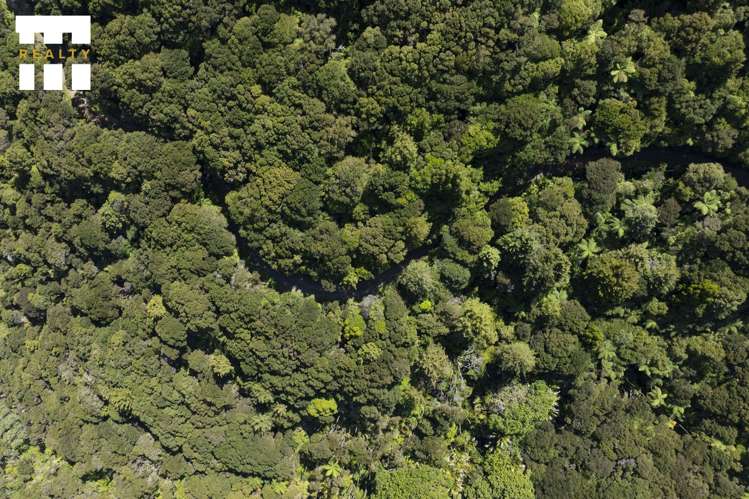 Lot 4/303 Waiaua Road Hihi_22