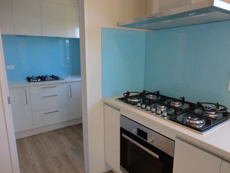 203c Mount Smart Road Onehunga_8