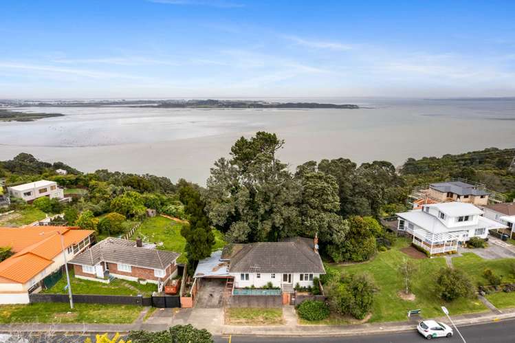 368 Hillsborough Road Hillsborough_17