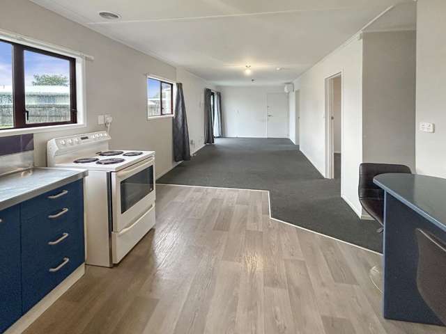 59 River Road Masterton_3