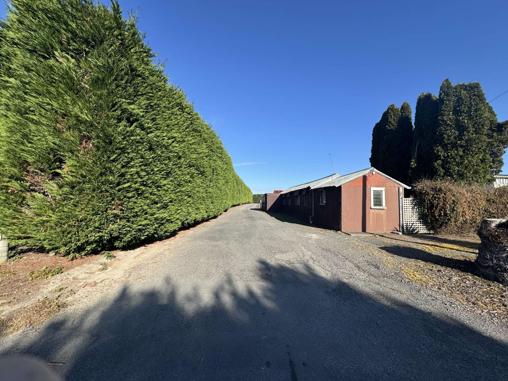 701 Murdoch Road East Akina_0