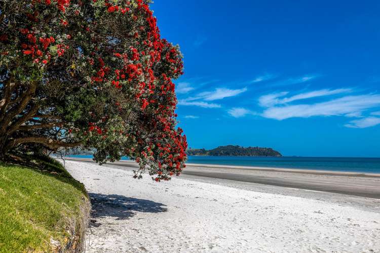 59 Onetangi Road Onetangi_16