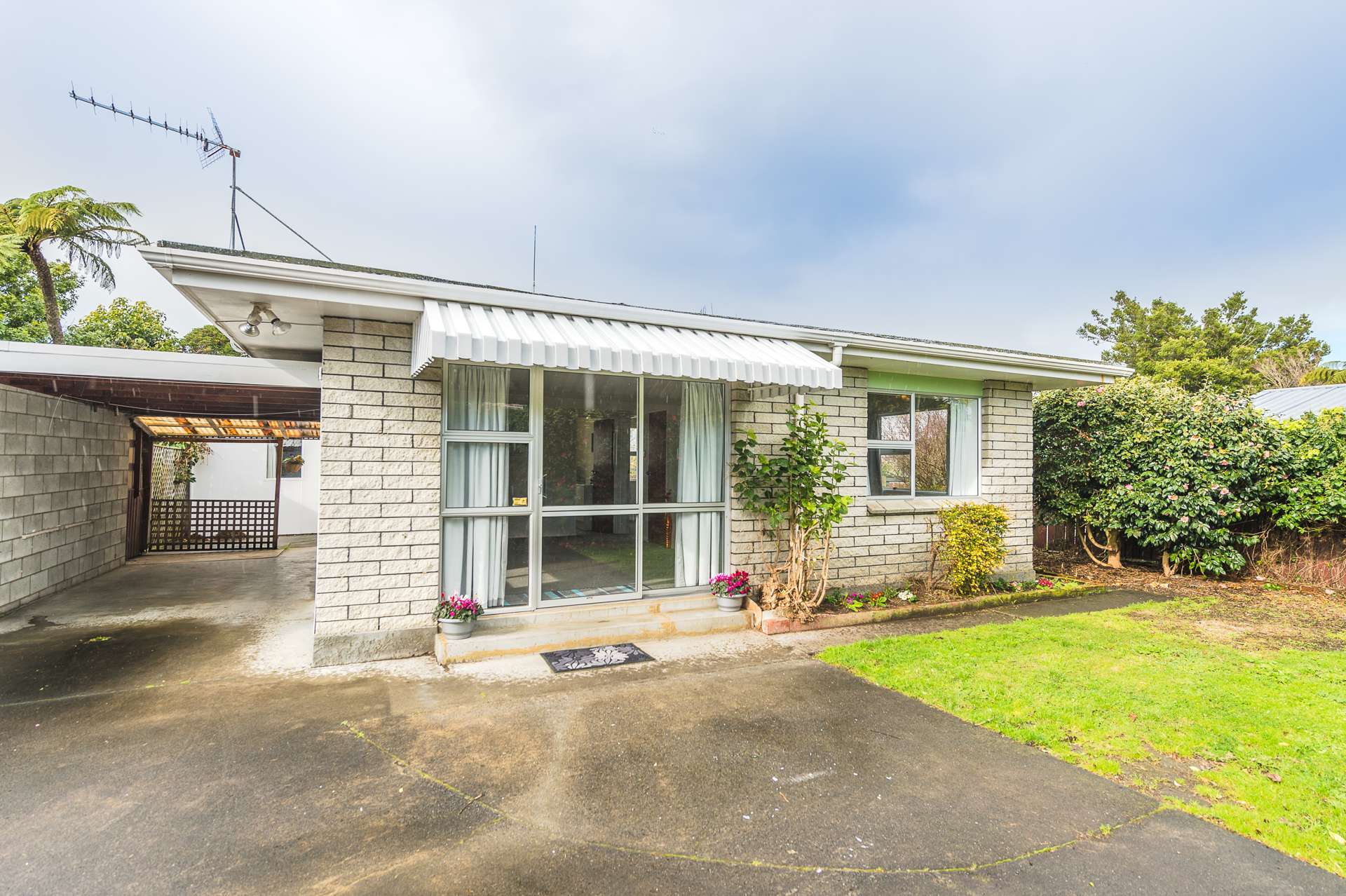 33d Pitt Street Wanganui Central_0