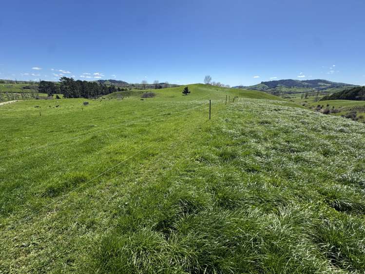 530 Mangatutu Rd RD3 Maihiihi_16