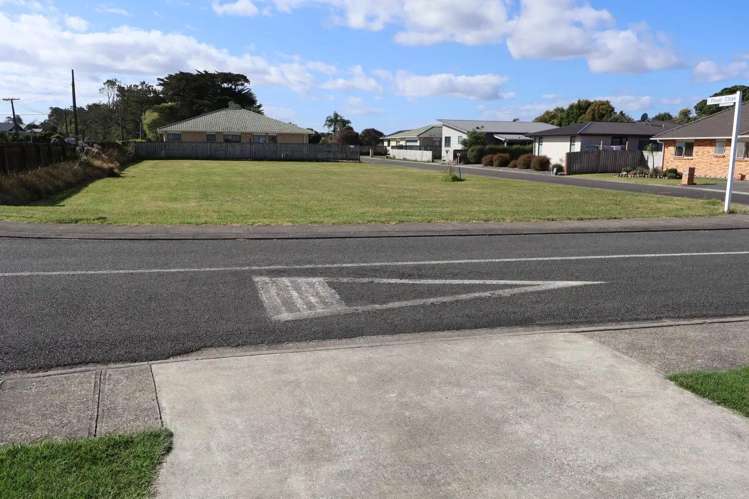 1 Plover Crescent  Dargaville _1