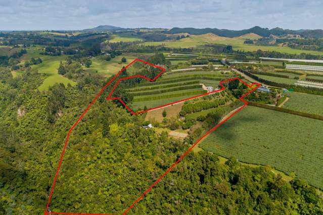 827 No 1 Road Te Puke_2