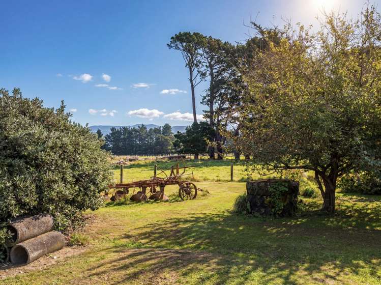 317 Wood Street Greytown_23