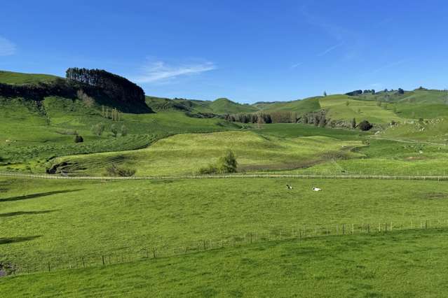 161 Veale Road Otorohanga_1