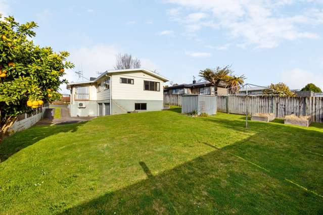 195 Colgan Street Te Awamutu_3