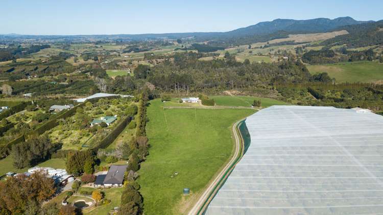 291 Rea Road Hauraki Surrounds_19