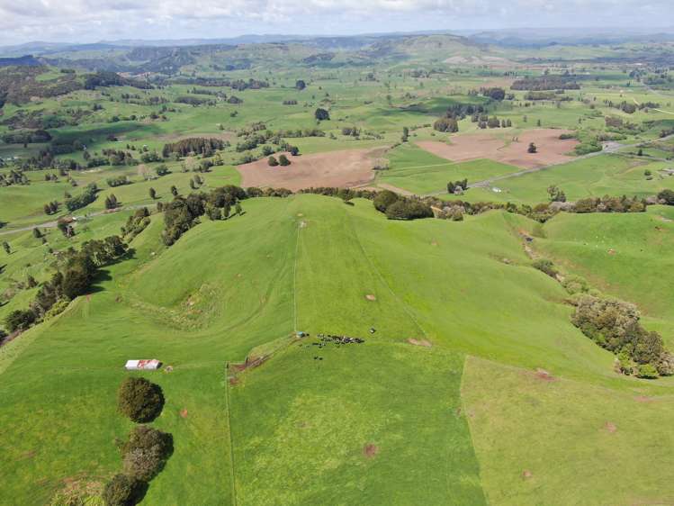 Lot (Rural)/1246 State Highway 3 Piopio_13