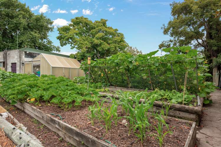 19 Richardson Avenue Burleigh_23