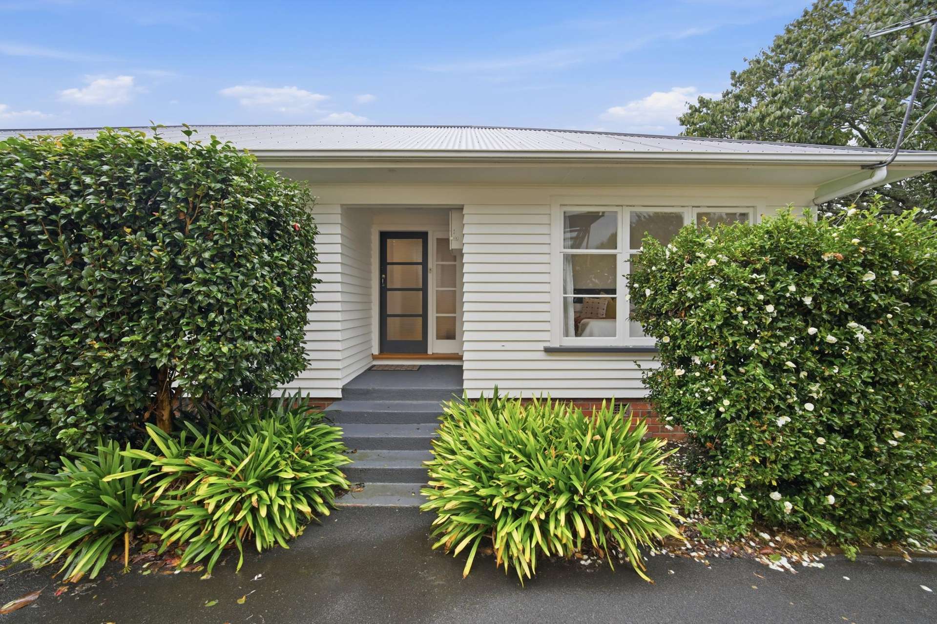 1/21 Fairview Road Mt Eden_0