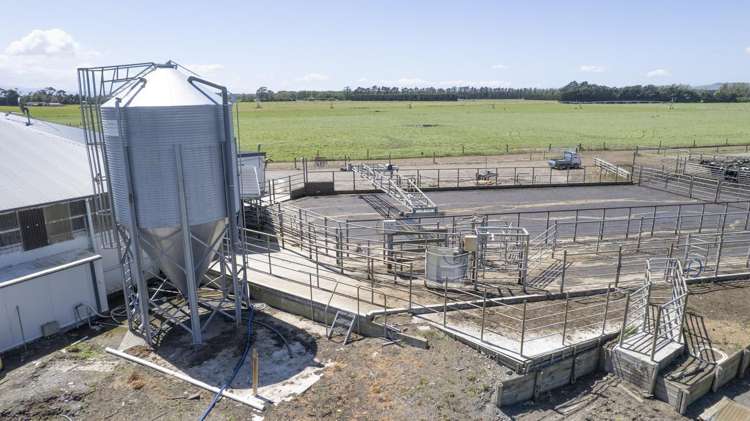 215a Wairio Road Featherston_11